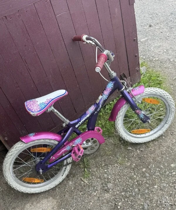 Schwinni laste jalgratas 16" roosa-sinine